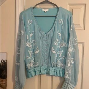 Sheer Blue Blouse with White Embroidery